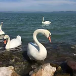 Апартаменты Zawia Apartman