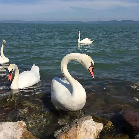 公寓 Zawia Apartman